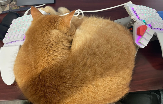 Samwise