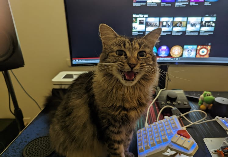 Kitty Kardashian, PhD.