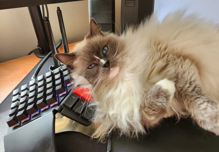 Kingsley